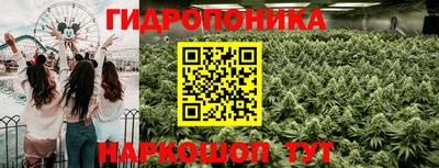 молекула духа Старая Купавна