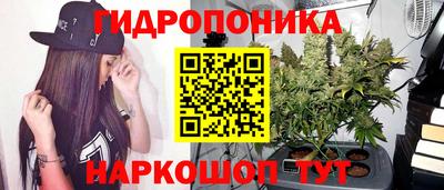 стаф Среднеуральск